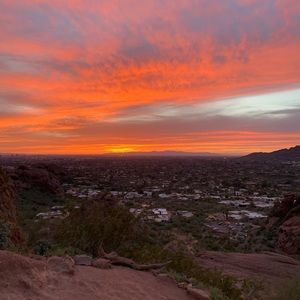 Meet your Posher, Dawn